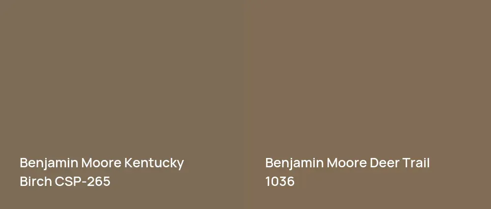 Benjamin Moore Kentucky Birch CSP-265 vs Benjamin Moore Deer Trail 1036