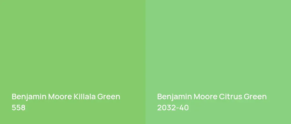 Benjamin Moore Killala Green 558 vs Benjamin Moore Citrus Green 2032-40