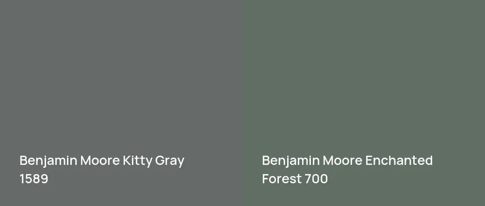 Benjamin Moore Kitty Gray 1589 vs Benjamin Moore Enchanted Forest 700