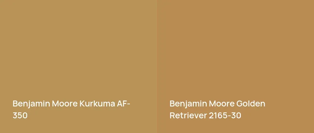 Benjamin Moore Kurkuma AF-350 vs Benjamin Moore Golden Retriever 2165-30