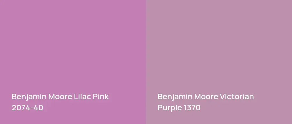 Benjamin Moore Lilac Pink 2074-40 vs Benjamin Moore Victorian Purple 1370