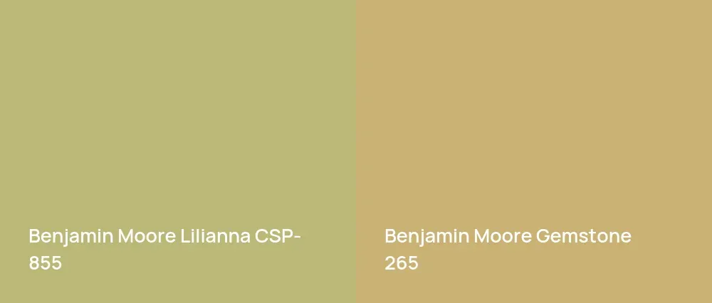 Benjamin Moore Lilianna CSP-855 vs Benjamin Moore Gemstone 265