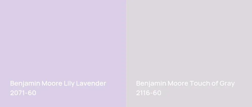 Benjamin Moore Lily Lavender 2071-60 vs Benjamin Moore Touch of Gray 2116-60