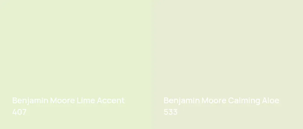 Benjamin Moore Lime Accent 407 vs Benjamin Moore Calming Aloe 533