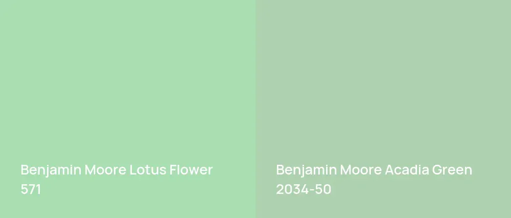 Benjamin Moore Lotus Flower 571 vs Benjamin Moore Acadia Green 2034-50