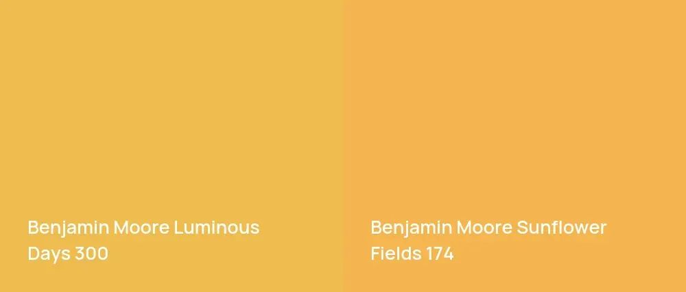 Benjamin Moore Luminous Days 300 vs Benjamin Moore Sunflower Fields 174