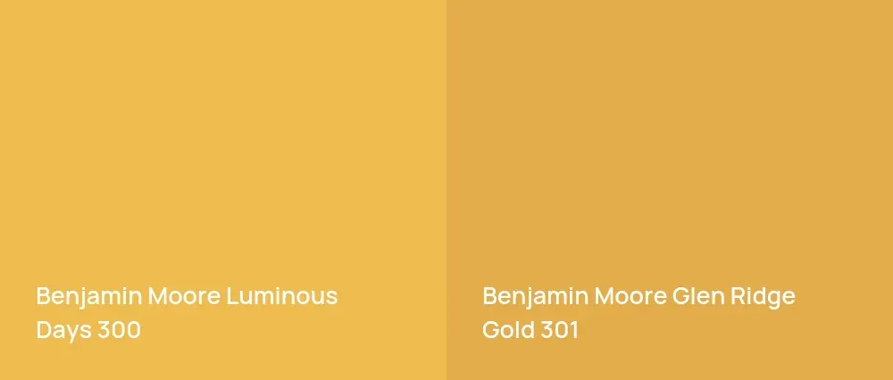 Benjamin Moore Luminous Days 300 vs Benjamin Moore Glen Ridge Gold 301