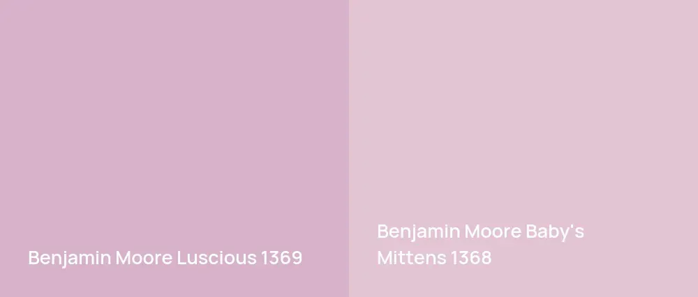 Benjamin Moore Luscious 1369 vs Benjamin Moore Baby's Mittens 1368