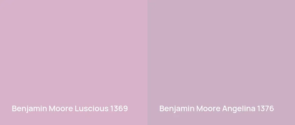 Benjamin Moore Luscious 1369 vs Benjamin Moore Angelina 1376