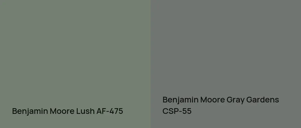 Benjamin Moore Lush AF-475 vs Benjamin Moore Gray Gardens CSP-55