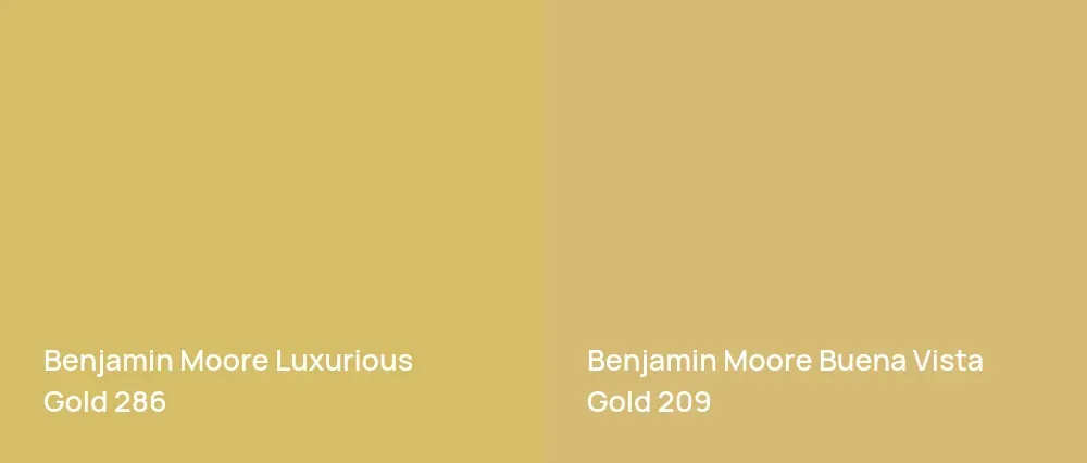 Benjamin Moore Luxurious Gold 286 vs Benjamin Moore Buena Vista Gold 209