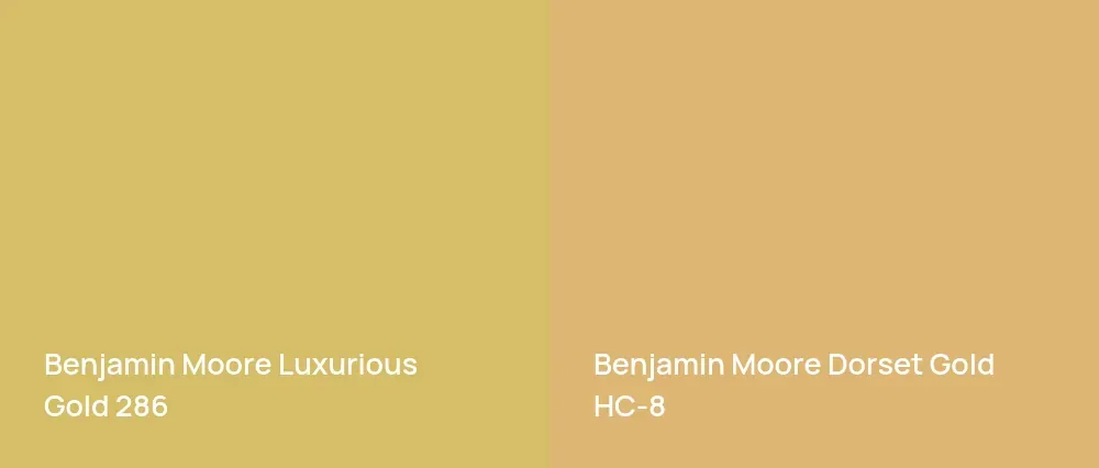 Benjamin Moore Luxurious Gold 286 vs Benjamin Moore Dorset Gold HC-8