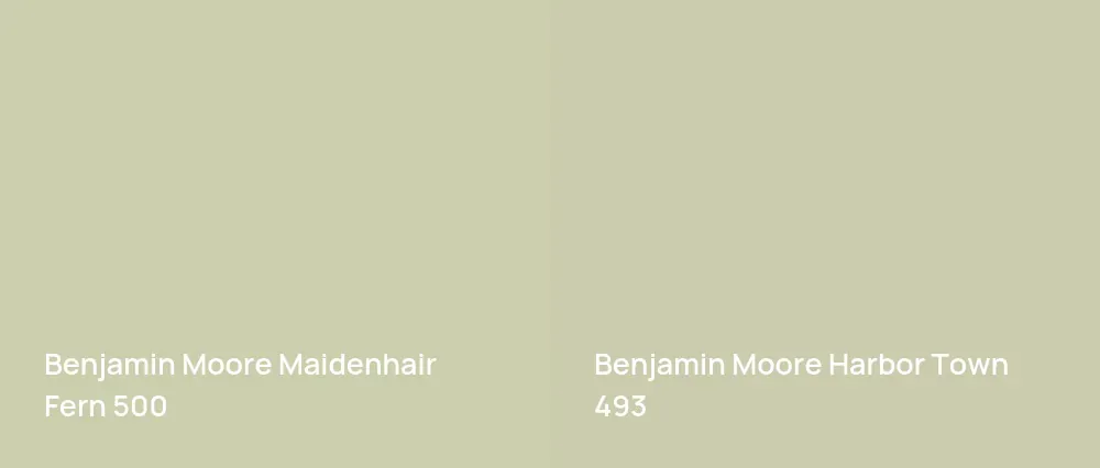 Benjamin Moore Maidenhair Fern 500 vs Benjamin Moore Harbor Town 493