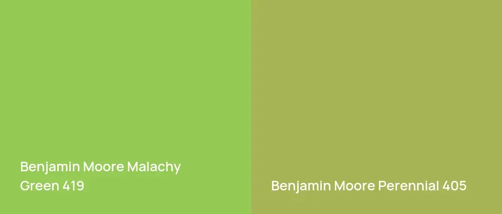 Benjamin Moore Malachy Green 419 vs Benjamin Moore Perennial 405