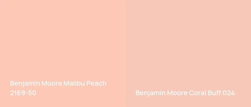Benjamin Moore Malibu Peach 2169-50 vs Benjamin Moore Coral Buff 024
