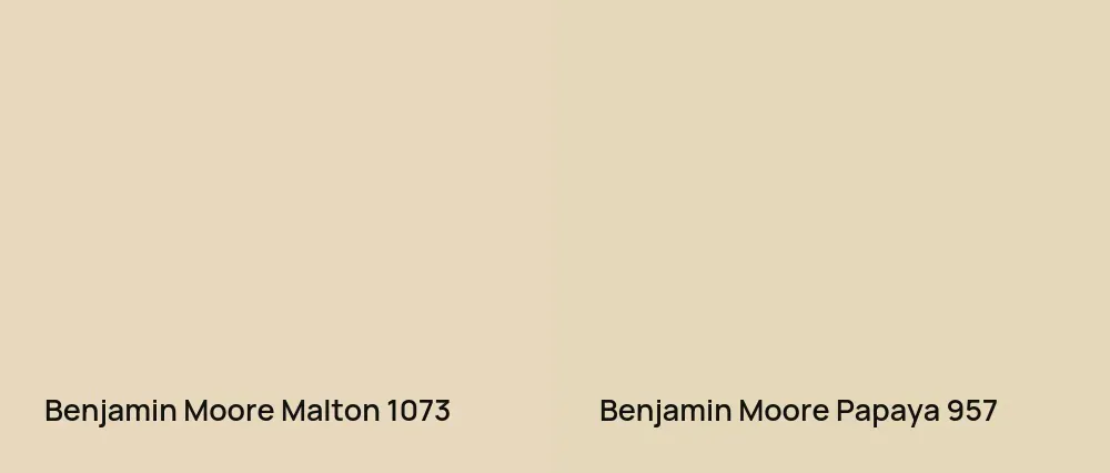 Benjamin Moore Malton 1073 vs Benjamin Moore Papaya 957