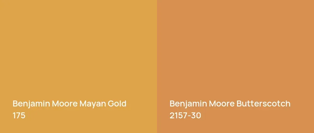 Benjamin Moore Mayan Gold 175 vs Benjamin Moore Butterscotch 2157-30