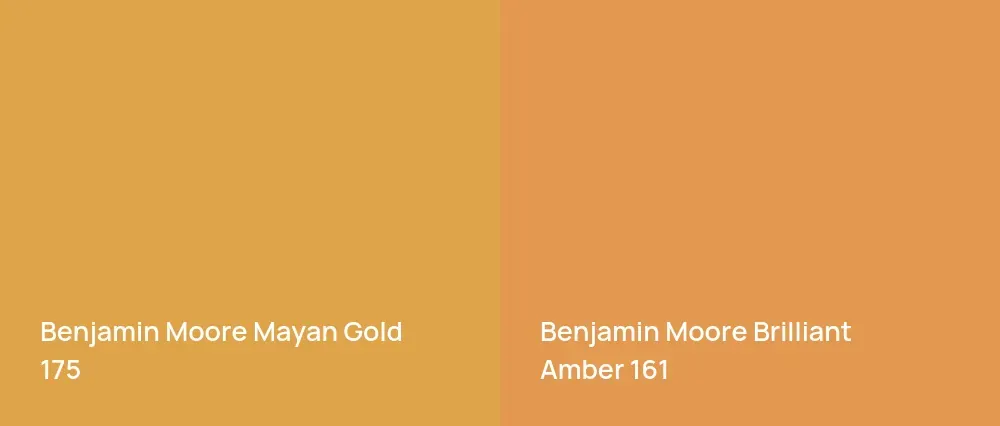 Benjamin Moore Mayan Gold 175 vs Benjamin Moore Brilliant Amber 161