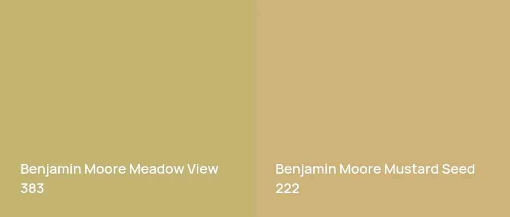 Benjamin Moore Meadow View 383 vs Benjamin Moore Mustard Seed 222