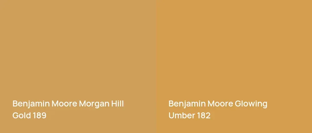 Benjamin Moore Morgan Hill Gold 189 vs Benjamin Moore Glowing Umber 182