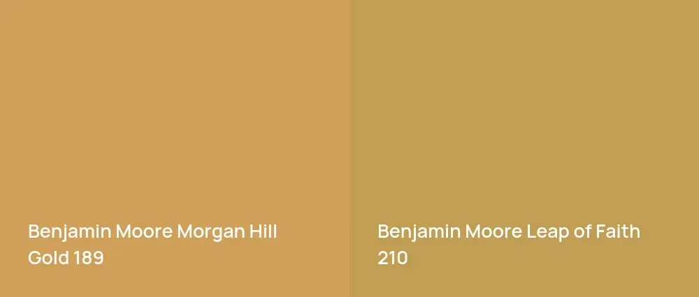 Benjamin Moore Morgan Hill Gold 189 vs Benjamin Moore Leap of Faith 210
