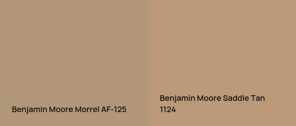 Benjamin Moore Morrel AF-125 vs Benjamin Moore Saddle Tan 1124