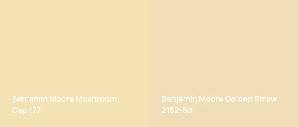 Benjamin Moore Mushroom Cap 177 vs Benjamin Moore Golden Straw 2152-50