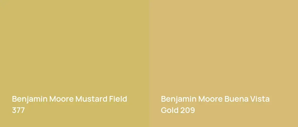 Benjamin Moore Mustard Field 377 vs Benjamin Moore Buena Vista Gold 209