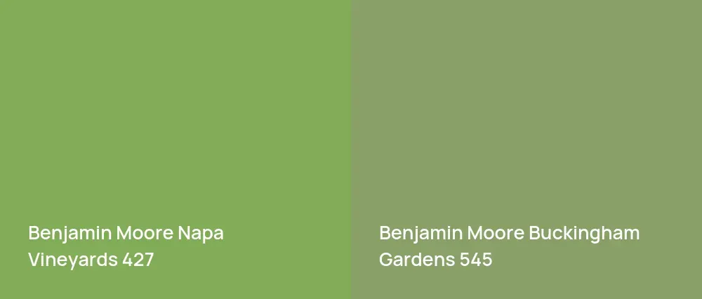 Benjamin Moore Napa Vineyards 427 vs Benjamin Moore Buckingham Gardens 545