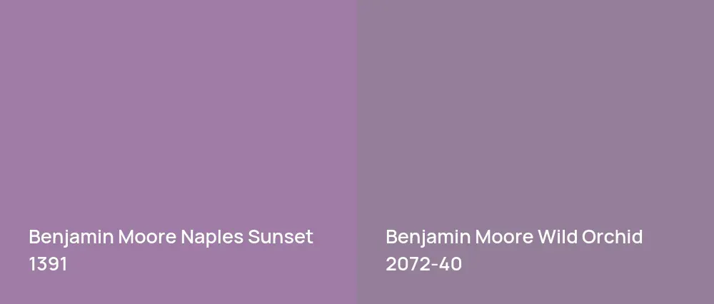 Benjamin Moore Naples Sunset 1391 vs Benjamin Moore Wild Orchid 2072-40