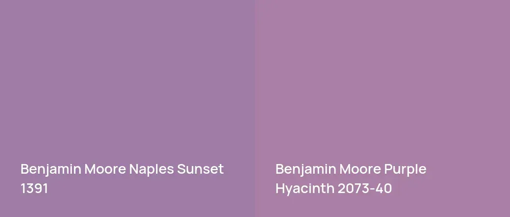 Benjamin Moore Naples Sunset 1391 vs Benjamin Moore Purple Hyacinth 2073-40