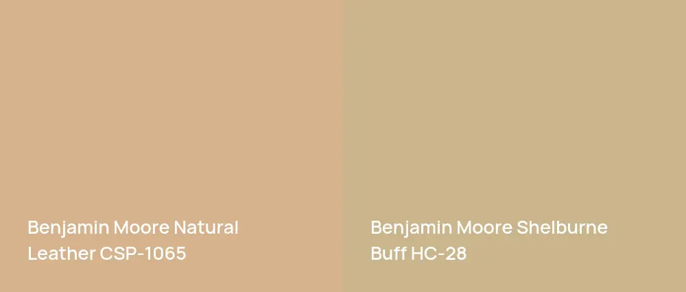 Benjamin Moore Natural Leather CSP-1065 vs Benjamin Moore Shelburne Buff HC-28