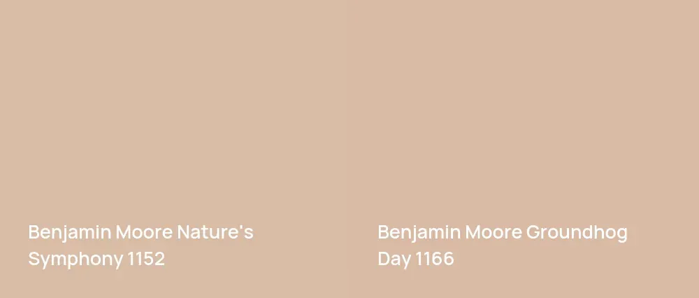 Benjamin Moore Nature's Symphony 1152 vs Benjamin Moore Groundhog Day 1166