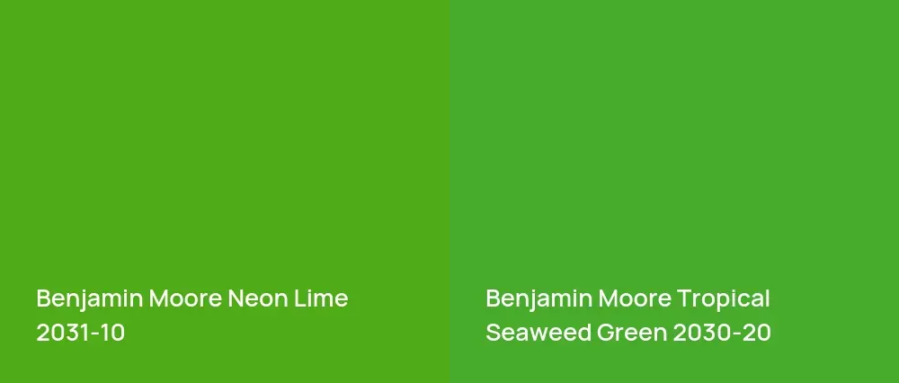 Benjamin Moore Neon Lime 2031-10 vs Benjamin Moore Tropical Seaweed Green 2030-20