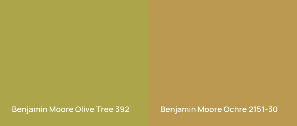 Benjamin Moore Olive Tree 392 vs Benjamin Moore Ochre 2151-30