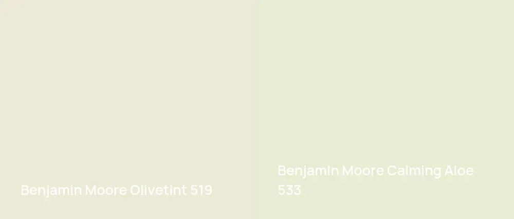 Benjamin Moore Olivetint 519 vs Benjamin Moore Calming Aloe 533