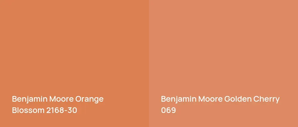 Benjamin Moore Orange Blossom 2168-30 vs Benjamin Moore Golden Cherry 069