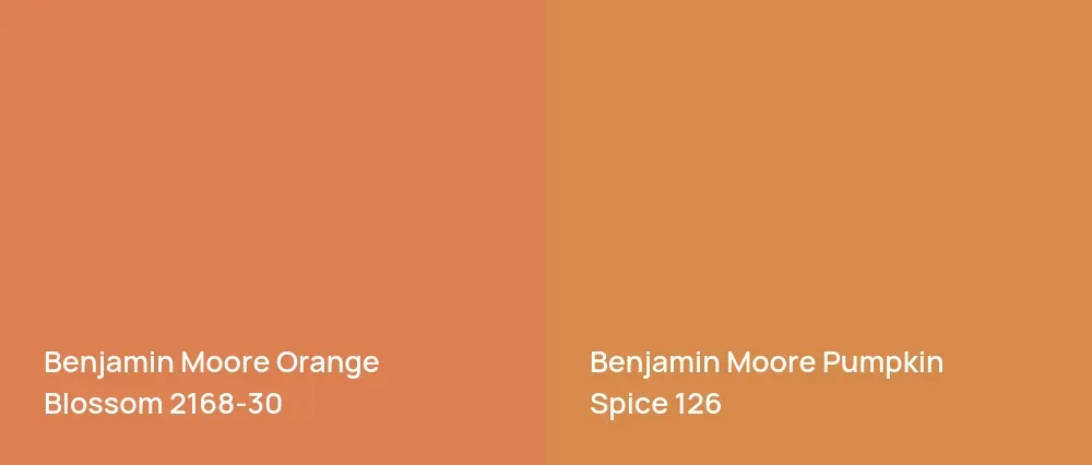 Benjamin Moore Orange Blossom 2168-30 vs Benjamin Moore Pumpkin Spice 126