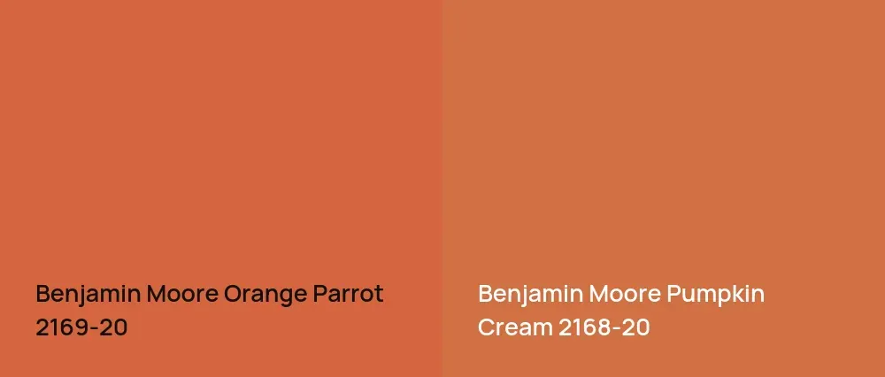 Benjamin Moore Orange Parrot 2169-20 vs Benjamin Moore Pumpkin Cream 2168-20