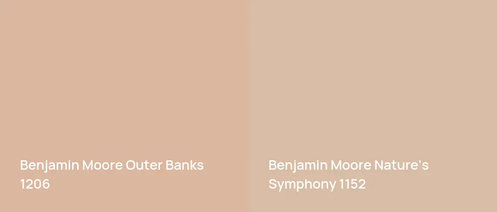 Benjamin Moore Outer Banks 1206 vs Benjamin Moore Nature's Symphony 1152