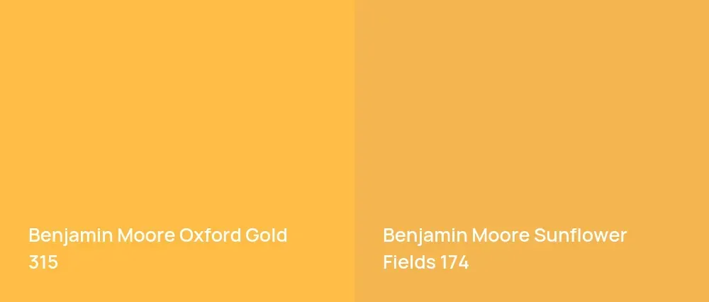 Benjamin Moore Oxford Gold 315 vs Benjamin Moore Sunflower Fields 174