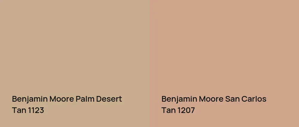 Benjamin Moore Palm Desert Tan 1123 vs Benjamin Moore San Carlos Tan 1207