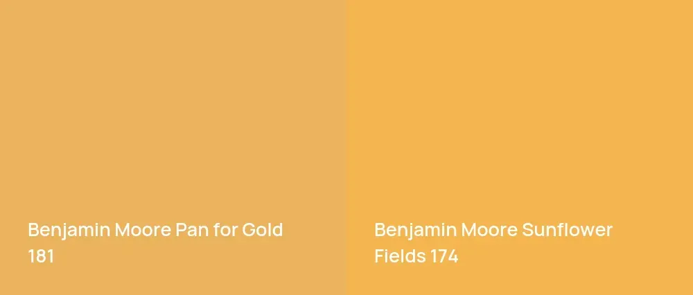 Benjamin Moore Pan for Gold 181 vs Benjamin Moore Sunflower Fields 174
