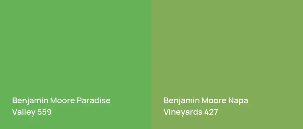 Benjamin Moore Paradise Valley 559 vs Benjamin Moore Napa Vineyards 427