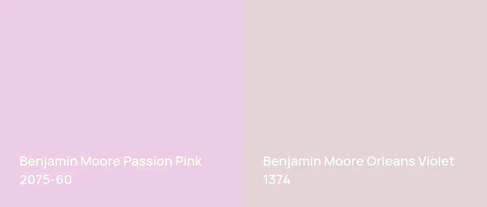 Benjamin Moore Passion Pink 2075-60 vs Benjamin Moore Orleans Violet 1374