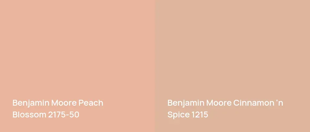 Benjamin Moore Peach Blossom 2175-50 vs Benjamin Moore Cinnamon 'n Spice 1215