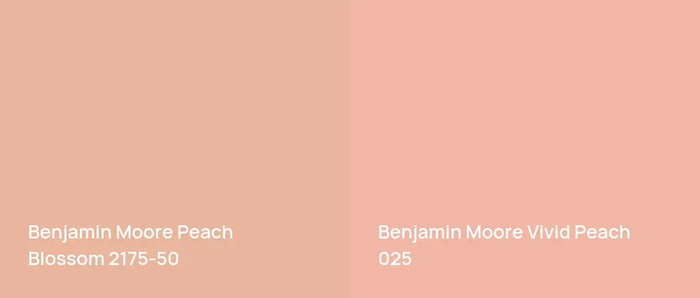 Benjamin Moore Peach Blossom 2175-50 vs Benjamin Moore Vivid Peach 025