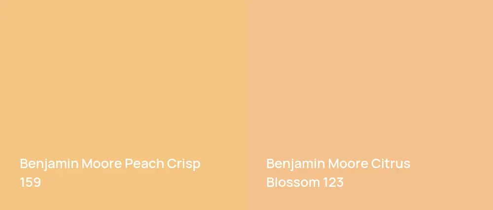 Benjamin Moore Peach Crisp 159 vs Benjamin Moore Citrus Blossom 123