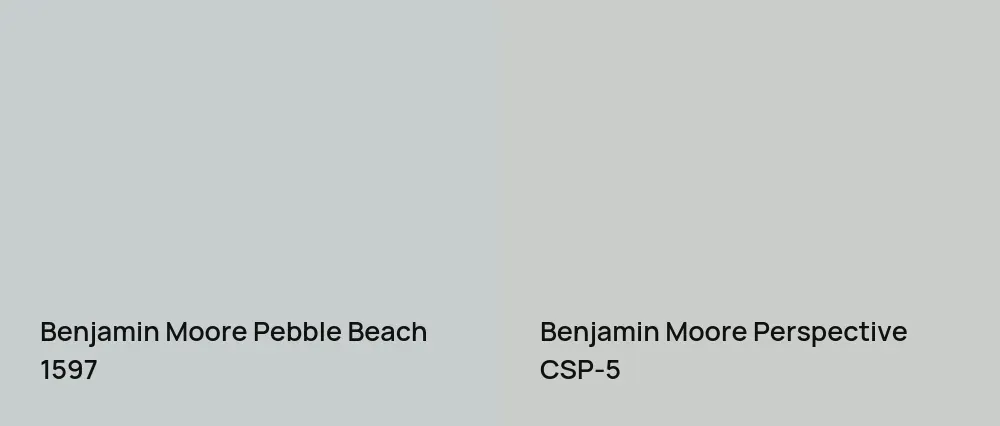 Benjamin Moore Pebble Beach 1597 vs Benjamin Moore Perspective CSP-5