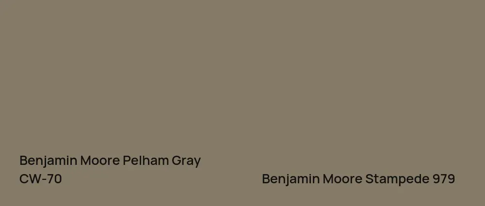Benjamin Moore Pelham Gray CW-70 vs Benjamin Moore Stampede 979